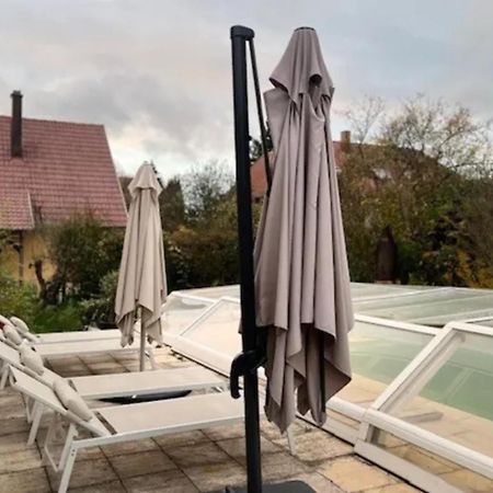 Soh Rent Villa Piscine Proche Strasbourg Tv - Wifi - Parking Lampertheim Bagian luar foto